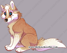 Pet
