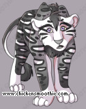 Pet