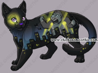Pet