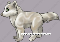 Pet