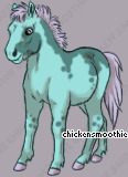 Pet