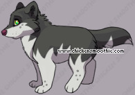 Pet