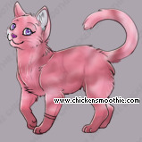 Pet