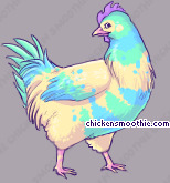 Pet
