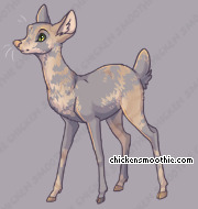 Pet