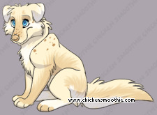 Pet