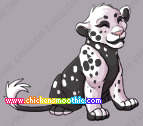 Pet
