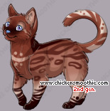 Pet