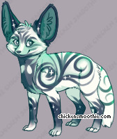 Pet