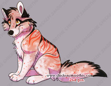 Pet