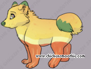 Pet