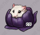 Pet
