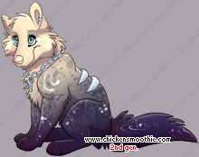 Pet