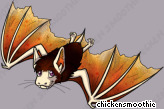 Pet