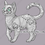 Pet