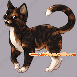 Pet
