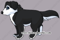 Pet