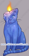 Pet