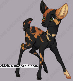 Pet