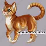 Pet