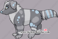 Pet