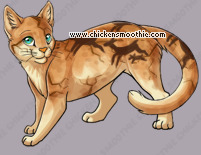 Pet