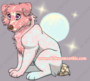 Pet