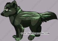 Pet