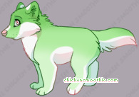 Pet
