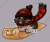 Pet
