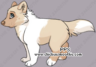 Pet