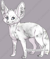 Pet