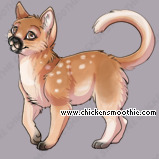 Pet