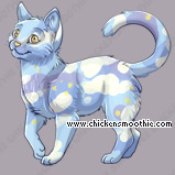 Pet