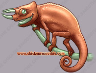 Pet