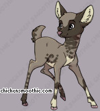 Pet