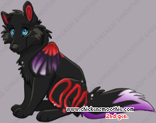 Pet