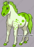 Pet