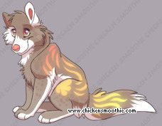 Pet