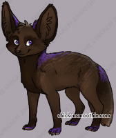 Pet