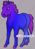 Pet