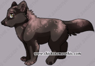 Pet