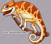 Pet