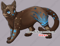 Pet
