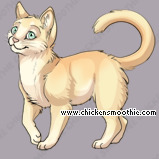 Pet