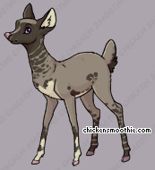 Pet