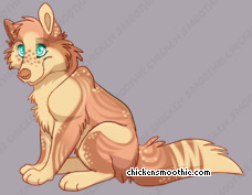 Pet