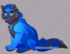 Pet