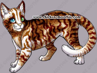Pet