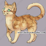 Pet